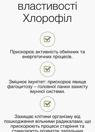 Choice хлорофилл2 фото