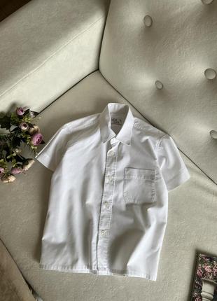 Белая рубашка для мальчика school life1 фото
