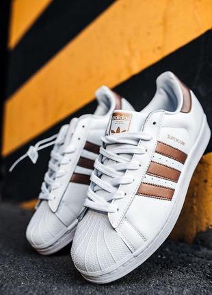 Стильные кроссовки adidas superstar в белом цвете (весна-лето-осень)😍1 фото