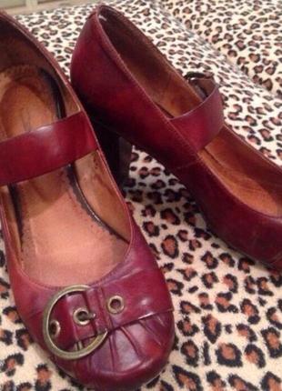 Шкіряні туфлі conni