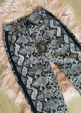 Стильні брюки джогери в змїний принт на високій посадці