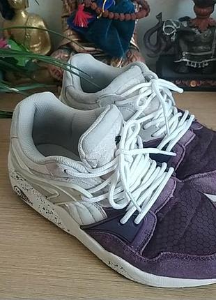 Кросівки puma Blue trinomic