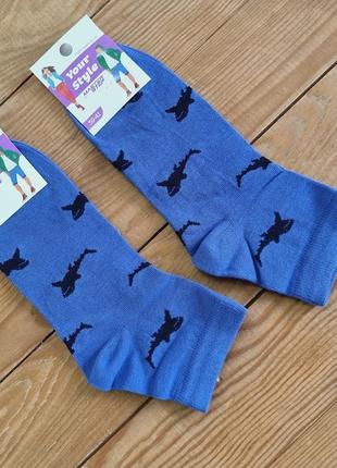 Шкарпетки молодіжні "акула", розмір 39-41, колір синій
