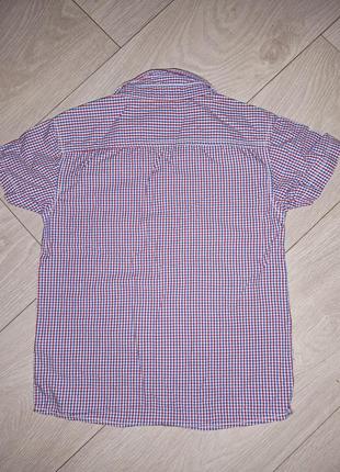 Рубашка с коротким рукавом 5-6 лет на рост 110-1163 фото