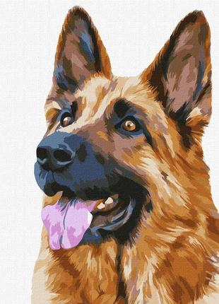 Картина по номерам "верный друг" 40х50 kho4308
