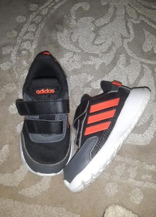 Кросівки adidas