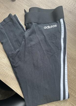 Лосини adidas