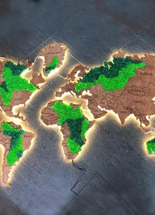 Карта світу з підсвіткою та стабілізованим мохом2 фото