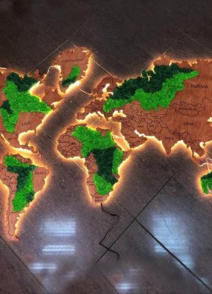 Карта мира с подсветкой и стабилизированным мхом