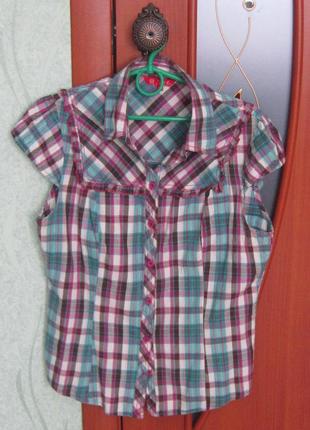 Кофта блузка рубашка