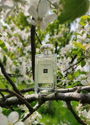 Wild bluebell 
jo malone london (розпив 2мл)1 фото