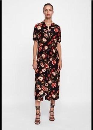 Сукня zara