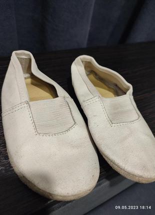 Кожані чешки