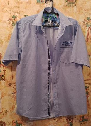 Шведка бавовна