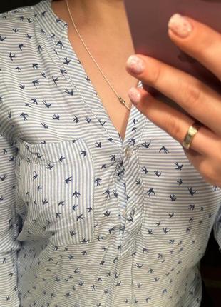 Рубашка ластовицы