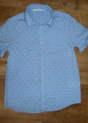H&m хлопчатая рубашка на 7-8 лет , 100% коттон, сделана в индии