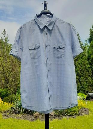 Світло- блакитна сорочка в клітинку