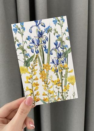 Подарочная открытка "квіти"