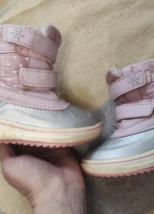 Сапоги lupilu 23