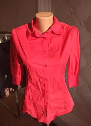 Красивая блузка женская