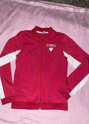 Олимпийка puma