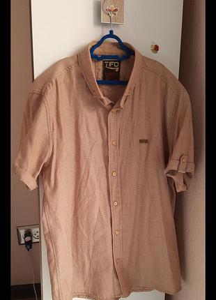 Тенниска, рубашка с каротным рукавом