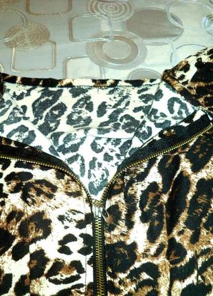 Леопардовое платье футляр с баской-открытые плечи7 фото