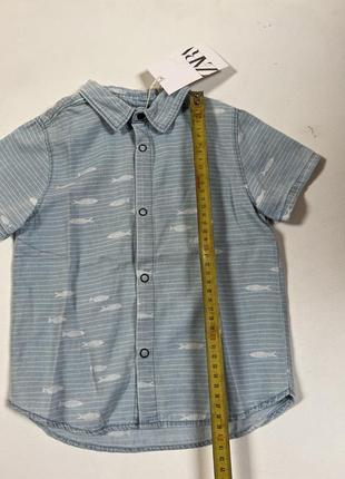 Джинсовая рубашка короткий рукав с рыбками рубашка zara для мальчика 3-4р3 фото