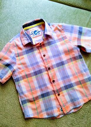 Сорочка з коротким рукавом.шведка