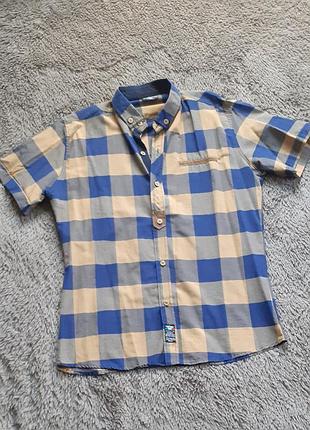 Сорочка чоловіча короткий рукав