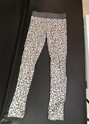 Лосини h&m леопард 122-134