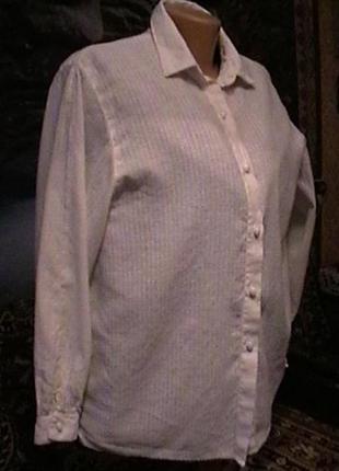 Блузка-рубашка белая в тонкий рубчик