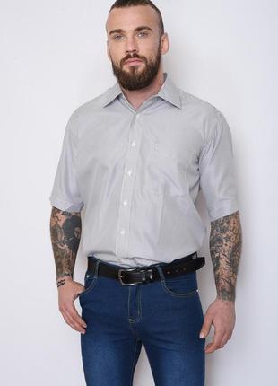 Рубашка мужская серая в полоску 151432l gl_55