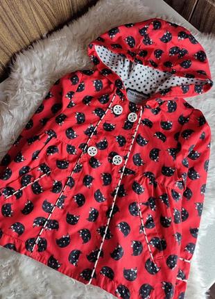 Курточка с котиками