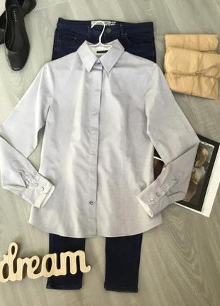 Базовая хлопковая рубашка серого  цвета приталенного кроя1 фото