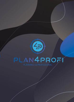 Планинг 4profi planning for professionals формат a3 недатований річний в лінію 901104