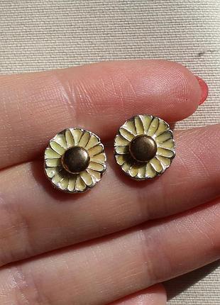 Гвоздики "ромашки", супер знижка (подробиці в описі)