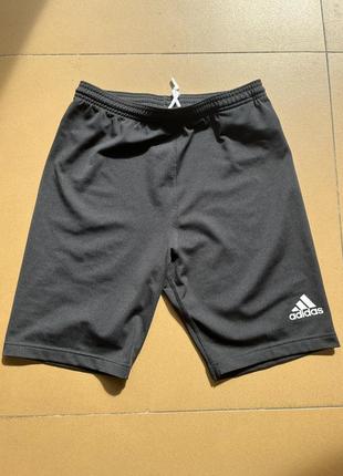 Шорти adidas / шорти для фітнесу / шорти адідас