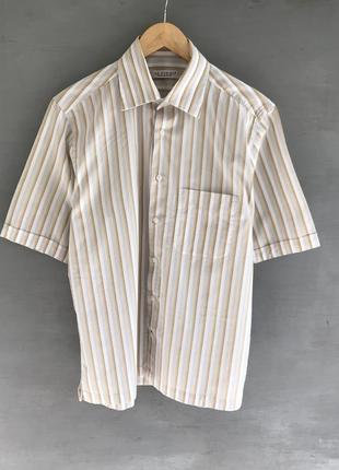 Теніска alfieri