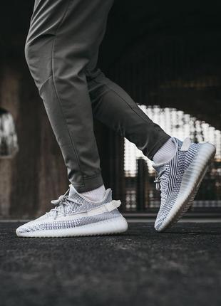 Adidas yeezy boost 350 v24 фото