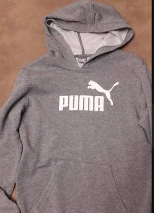 Толстовка puma6 фото