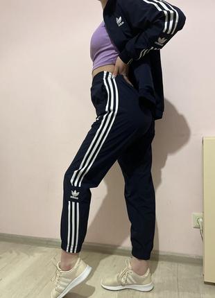 Костюм adidas1 фото