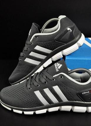 Кроссовки мужские adidas climachill girl gray & white4 фото