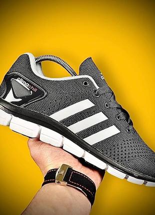 Кроссовки мужские adidas climachill girl gray & white9 фото
