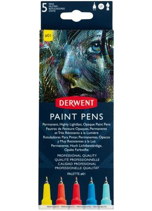 Набір кольорових ручок paint pen palette no1 5 шт. derwent