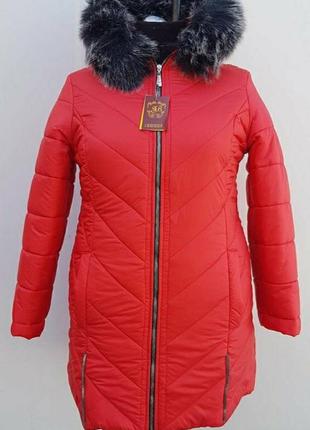 Зимова куртка,розмір 56-66,з хутром.
