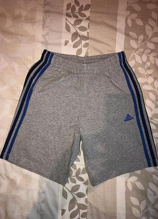 Мужские шорты adidas