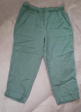 Зеленые брюки. бриджи1 фото