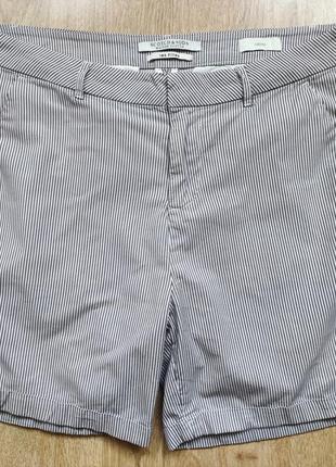 Maison scotch (97% хлопка),