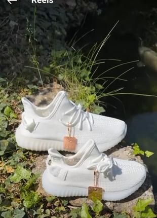 Кросівки унісекс yeezy.9 фото